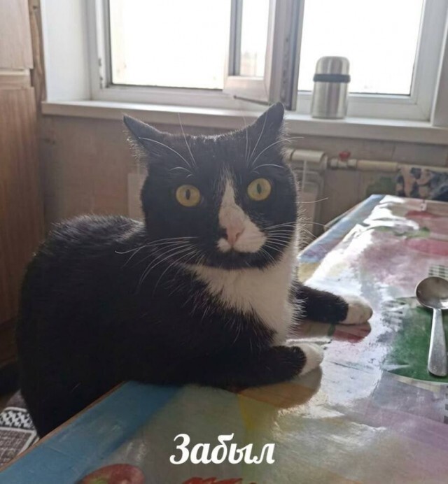 картинка 954f575275 seredina nedeli samoe vremja sdelat pauzu na 5 minut i prosto posmejatsja 10