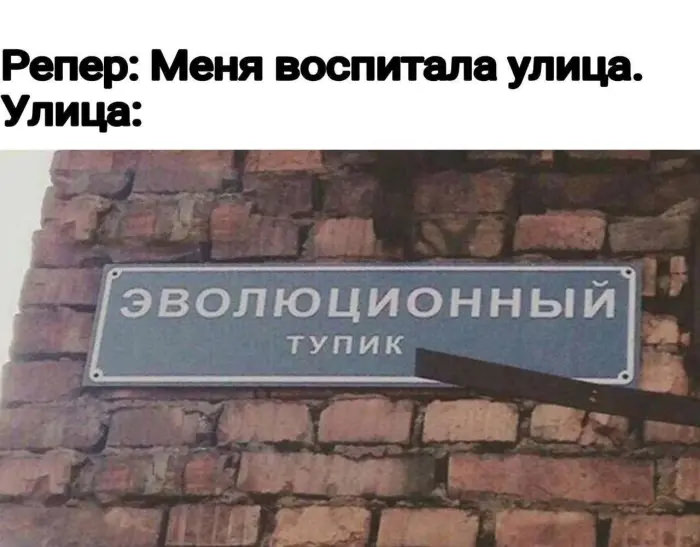 картинка 9819b17efc hvatit grustit zarjazhaemsja porciej otbornogo jumora iz seti 8