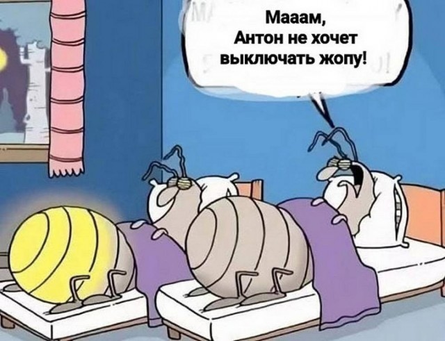 картинка 99e4f00063 21213865