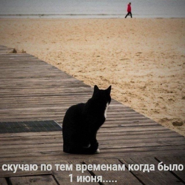 картинка 9a7a8c0b9b 21195879