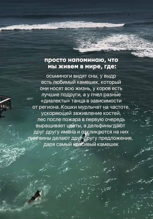 картинка 9ebc405912 sreda vremja podnjat sebe nastroenie 3