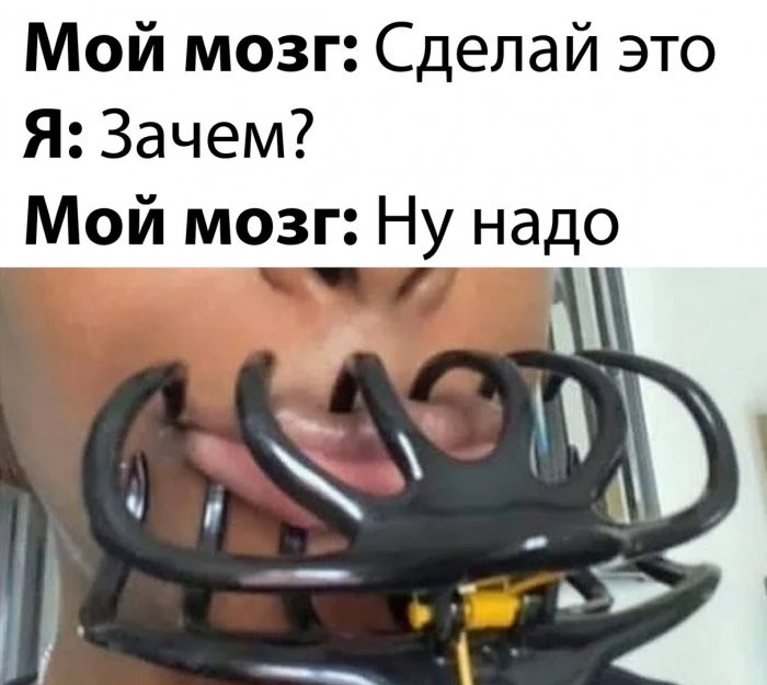 картинка 9fbdfb8bbd srochno nuzhno podnjat nastroenie my uzhe vse podgotovili 11