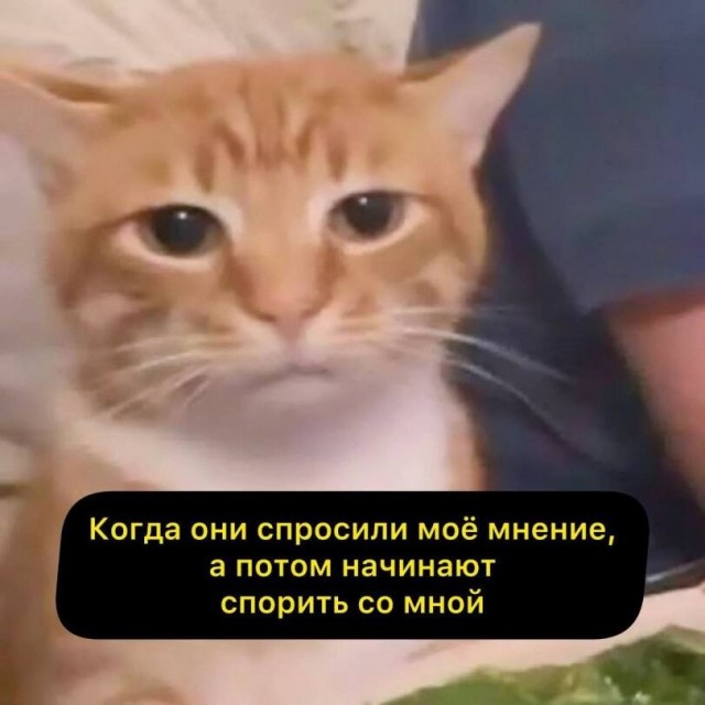 картинка a093313e17 21195533