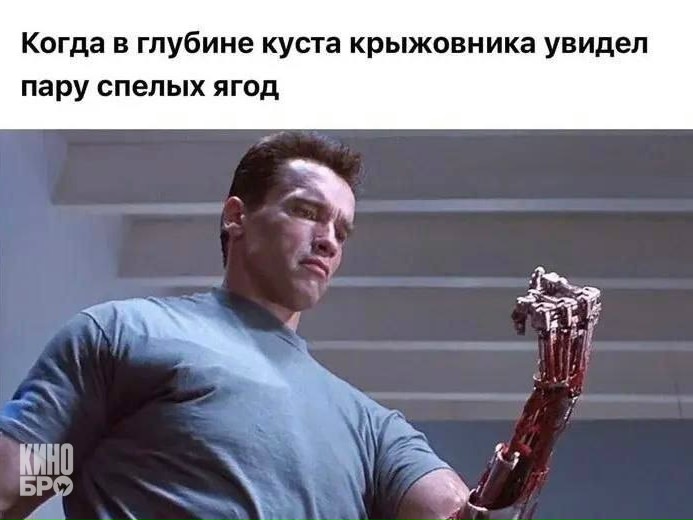 картинка a3ac52c849 hvatit grustit zarjazhaemsja porciej otbornogo jumora iz seti 13