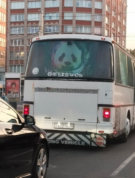 картинка a6d979e50f 21211009