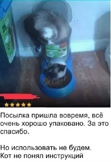 картинка a7cd647aa0 den navalilsja delami nazhmi na pauzu hotja by na minutu 15