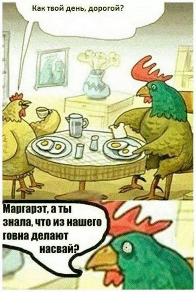 картинка a8ab1142e7 21213887