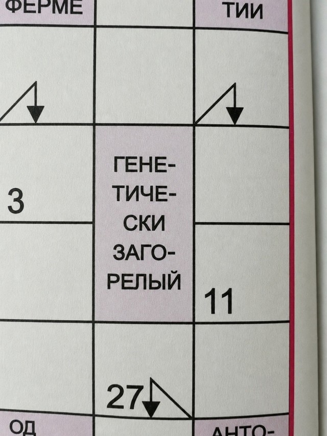 картинка a9b9e78cf2 21192980