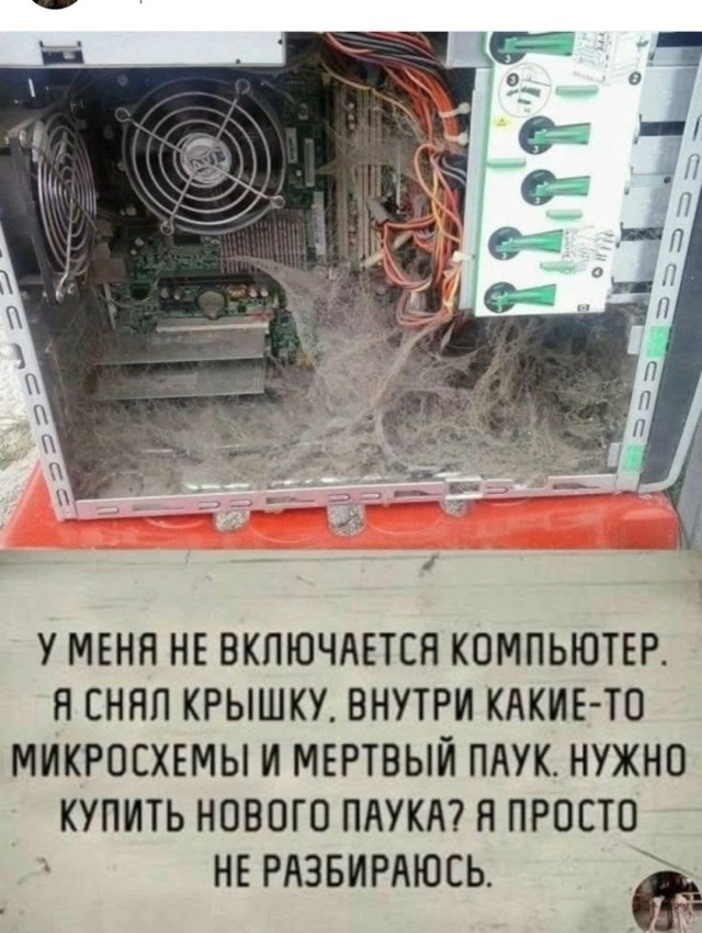 картинка ac84386659 21191973