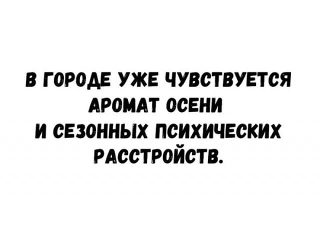 картинка ade6ac1017 21240838