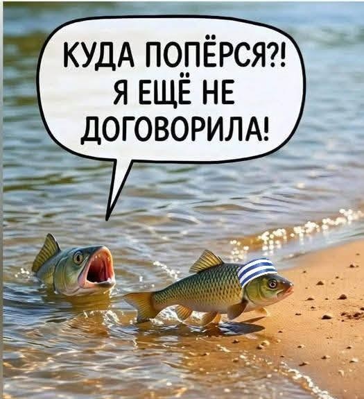 картинка ae0e8fd4ef vnimanie kontent ne dlja nezhenok 25