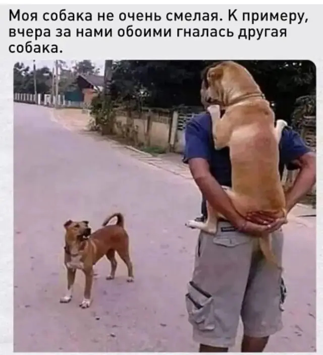 картинка b118f46423 0000000000000