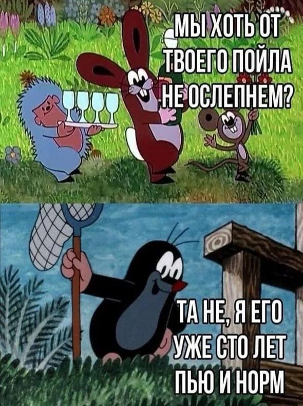 картинка b1b63ffbfc 21213932