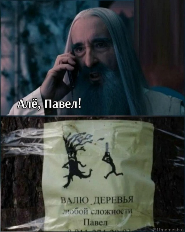 картинка b419fce341 21253879