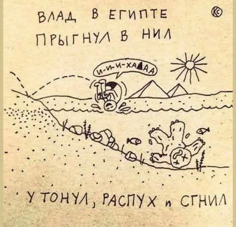 Выходные официально открыты! ✨ настроение, улыбайтесь, картинок, которые, поднимут, самый, пасмурный, деньЛистайте, карусель, забудьте, ситуаций, отправить, другу, которому, нужно, немного, посмеятьсяПриятных, выходных, абсурдных, жизненных