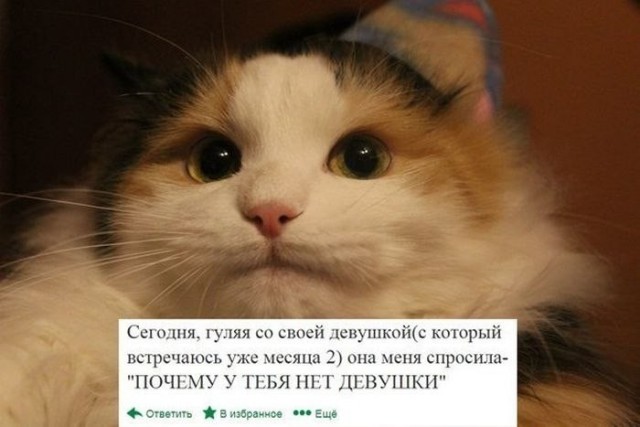 картинка b65ddf68fb 21267529