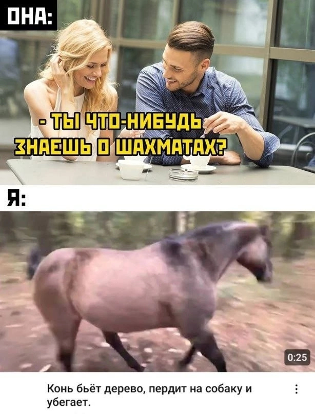 картинка b6aa171588 00000