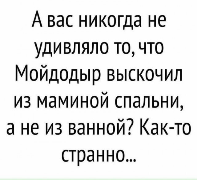 картинка b8209a2511 21212516