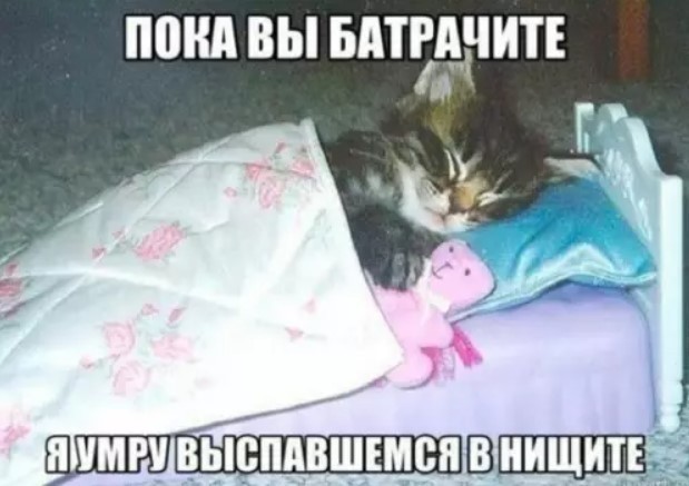 картинка ba7efae814 malenkaja pjatnica uzhe zdes 1