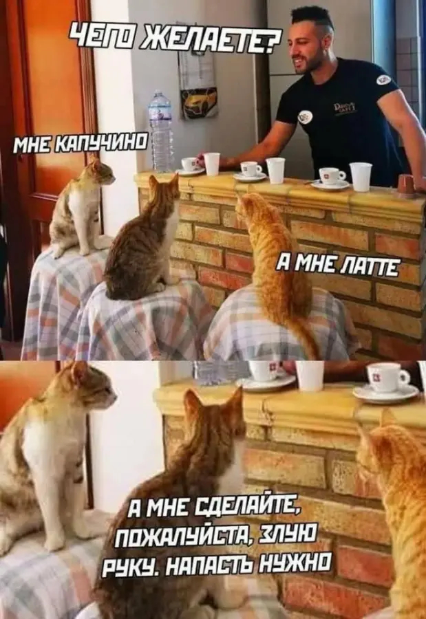 картинка bc9ed7eef0 podborka memov 20