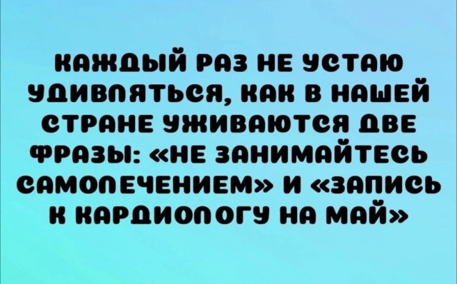 картинка c22ec0998b 21210994