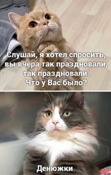 картинка c43577db08 21211084