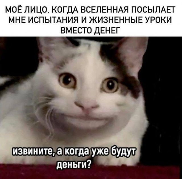 картинка c4a7405dfd 21256659