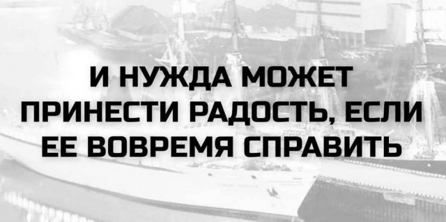 картинка c6019dbdd6 21211071