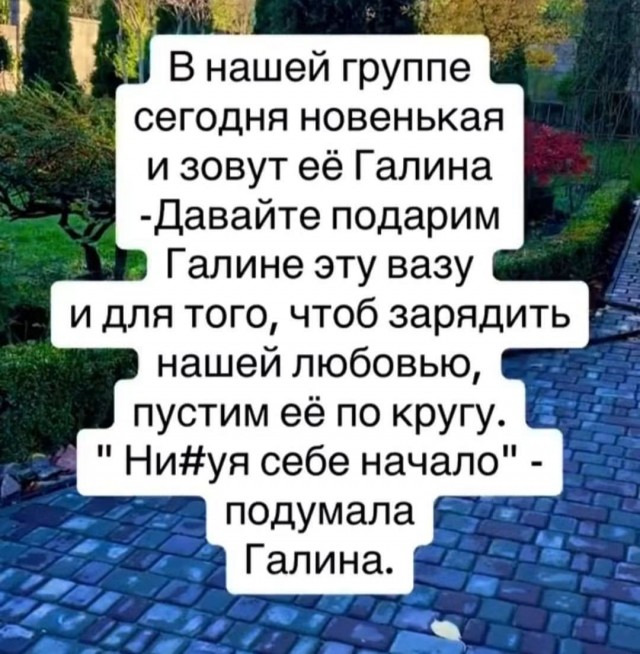 картинка c63e4b5a06 21228911