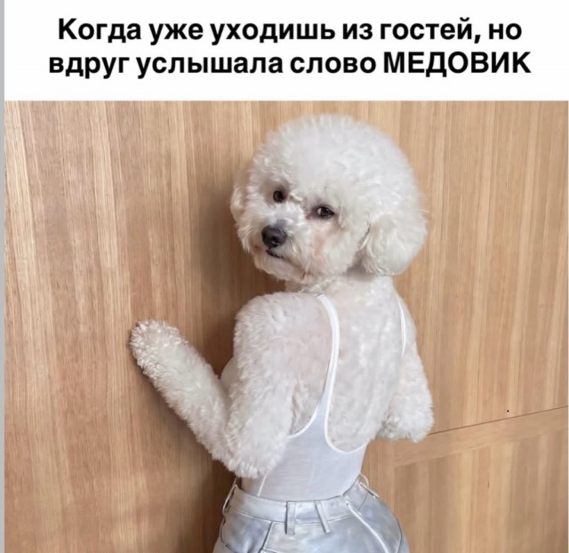 картинка c91132b71f 21191199