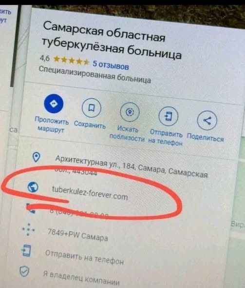 картинка ca878b5a79 21225645