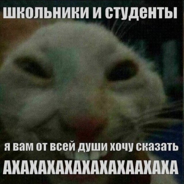 картинка cadff69366 21233940