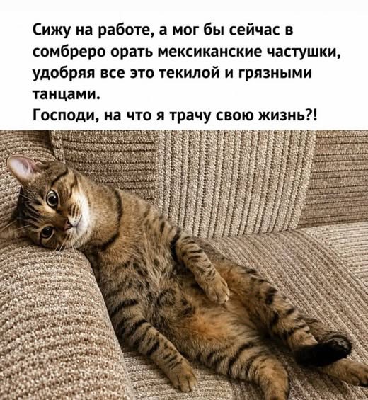 картинка cd0bb33e84 21225655