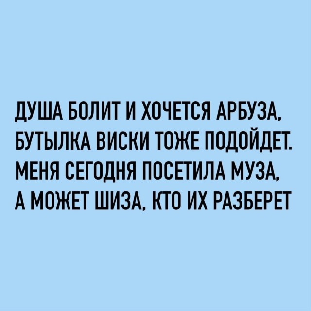 картинка cd2e18d01f 21236734