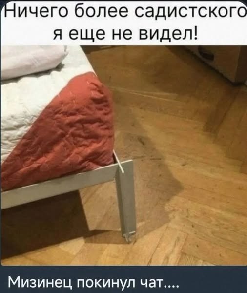 картинка ce54cb70b8 21196688