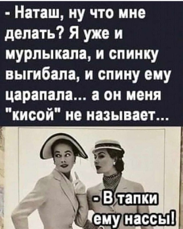 картинка cf3cf52468 21212443