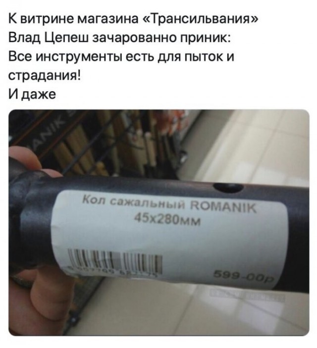 картинка d267924885 21213377