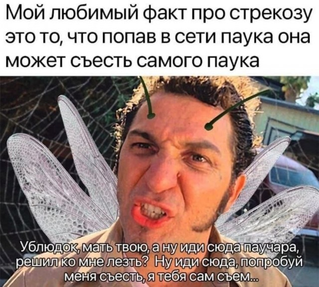 картинка d3c777cc0b 21228791
