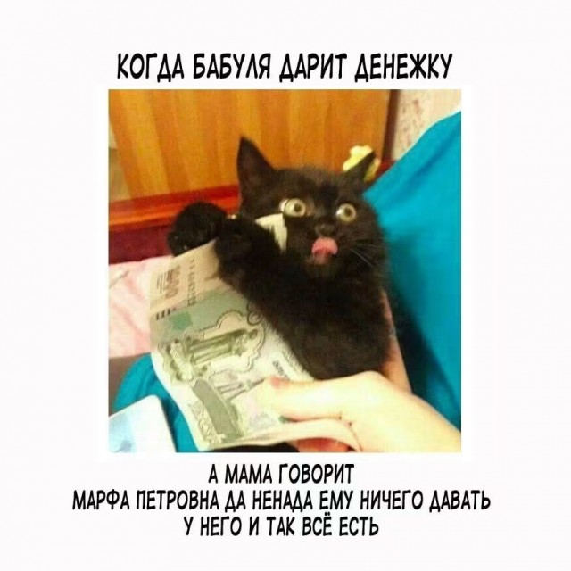 картинка d490c3e09c 21228888