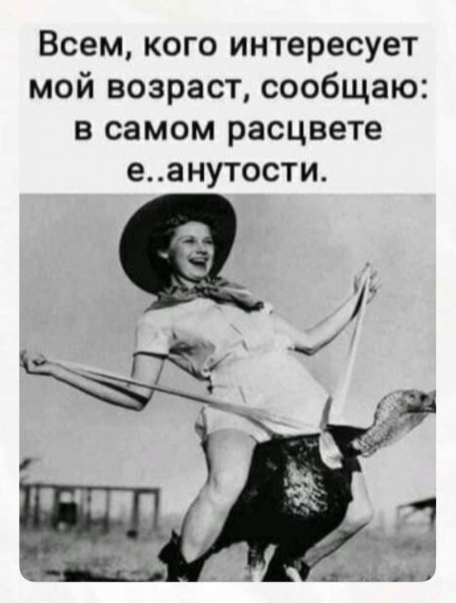 картинка d4bd71d610 21194442