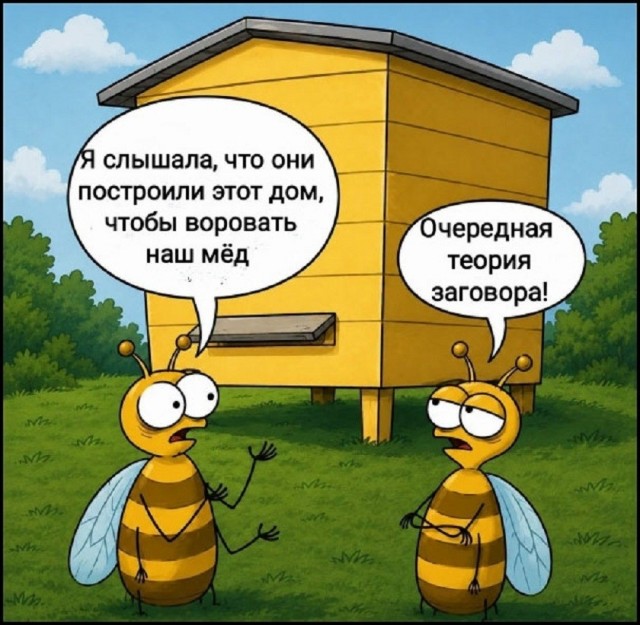 картинка d56e24ed33 21224567