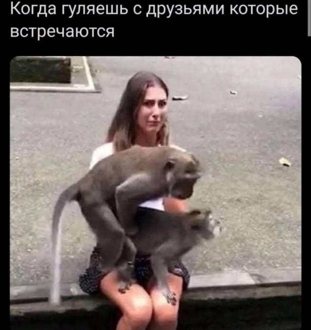 картинка d5c542db1d 21256428