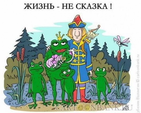 картинка d751f9965b 21224666
