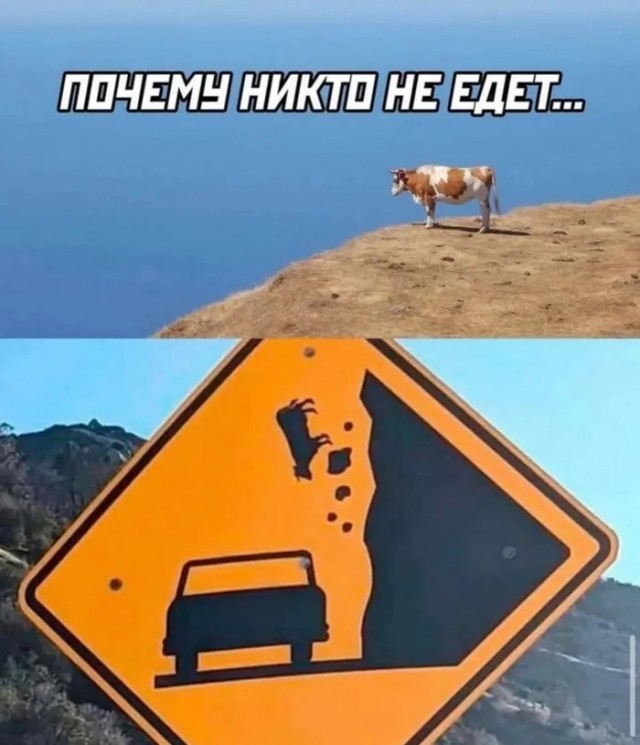 Нужна доза хорошего настроения? Мы тут подготовили подборку, после которой день станет чуточку лучше. 🚀 время, Устали, спокойнее, голос, 😄Листайте, заряжайтесь, лёгким, настроением, возвращайтесь, делам, какой, повезёт, последнее, реально, рассмешил, Поделитесь, комментариях, соберём, коллекцию, посмеяться