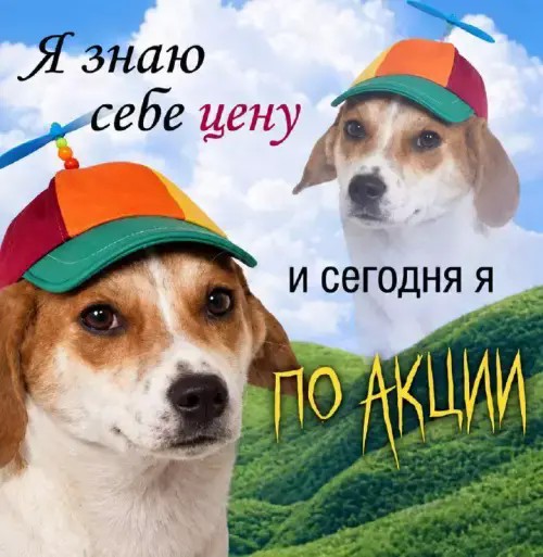 картинка deec1b292a 21244027