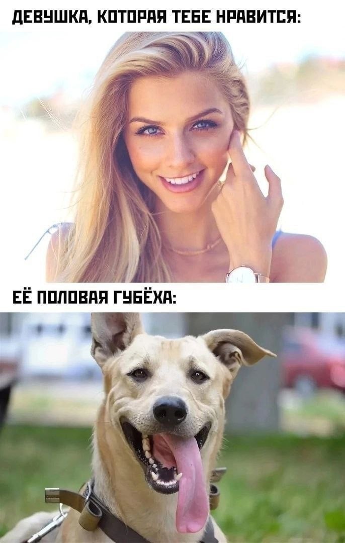 картинка df50f94da8 chernyj jumor jeto kak iskusstvo ponimajut ne vse a te kto ponimaet obychno uzhe v adu 22