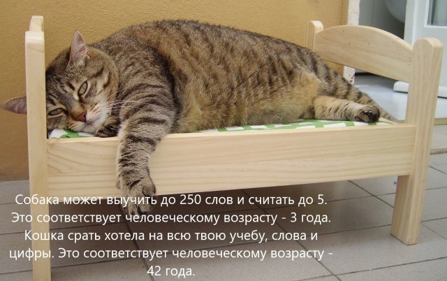 картинка e0409f158f 21256662