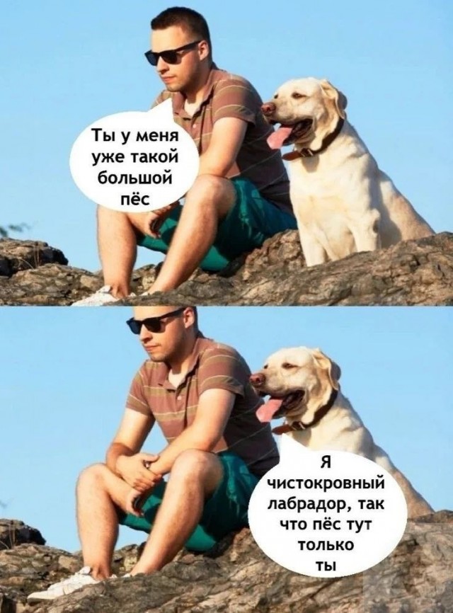 картинка e10e8148eb 21212632