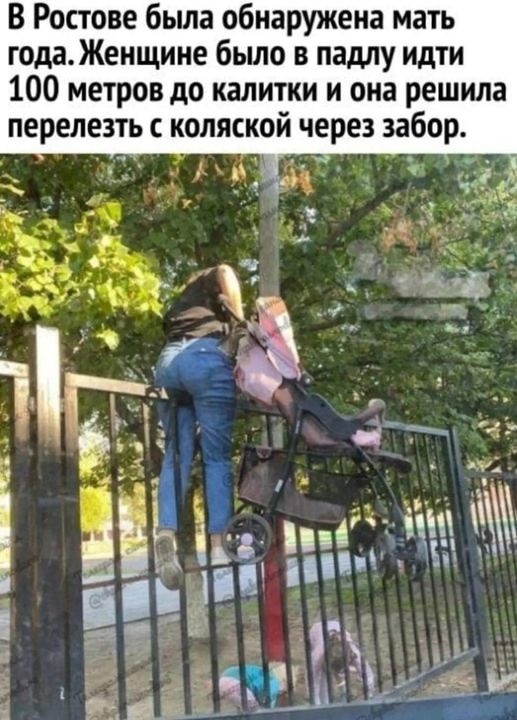 картинка e1bf4956ee 21192969