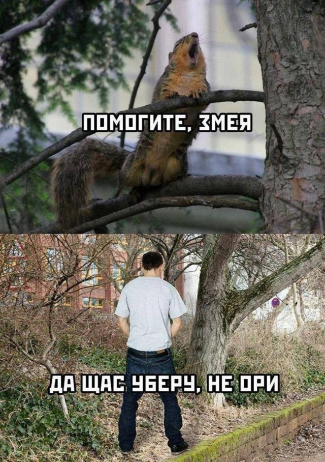 картинка e4b4d728d7 21228878